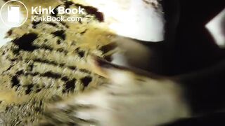00079 (2), ScatKings.com Scat Porn 3 ScatKings.com Scat Porn