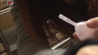ScatKings.com Scat Porn