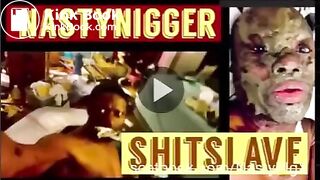 Black SHITSLAVE, ScatKings.com Scat Porn 7 ScatKings.com Scat Porn