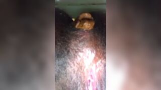 Ebony poop in toilet, ScatKings.com Scat Porn 14 ScatKings.com Scat Porn