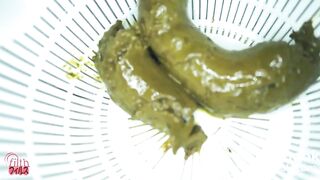 FF-226 2, ScatKings.com Scat Porn 11 ScatKings.com Scat Porn