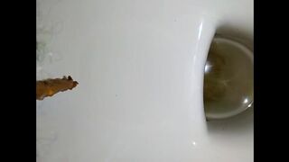 Farting and pooping - video 4, ScatKings.com Scat Porn 15 ScatKings.com Scat Porn