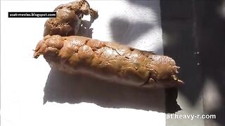 Huge Smooth Turd, ScatKings.com Scat Porn 18 ScatKings.com Scat Porn