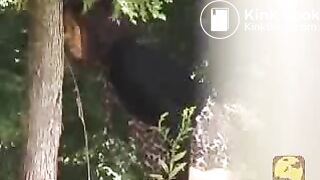 In a public park, ScatKings.com Scat Porn 15 ScatKings.com Scat Porn