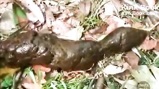 ScatKings.com Scat Porn