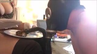 ScatKings.com Scat Porn