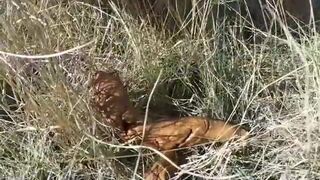OUTDOOR POO - video 2, ScatKings.com Scat Porn 8 ScatKings.com Scat Porn