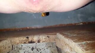 POOPING WITH CUM, ScatKings.com Scat Porn 12 ScatKings.com Scat Porn