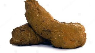Pooping collection - video 13, ScatKings.com Scat Porn 2 ScatKings.com Scat Porn