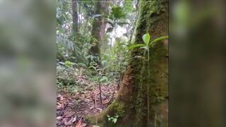 Pooping in the mountain, ScatKings.com Scat Porn 9 ScatKings.com Scat Porn