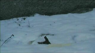 Relieving herself in the snow.., ScatKings.com Scat Porn 7 ScatKings.com Scat Porn