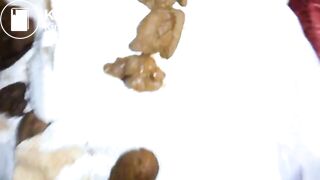 Swallow bf small turd, ScatKings.com Scat Porn 14 ScatKings.com Scat Porn