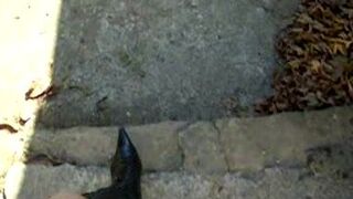 Tanalis, ScatKings.com Scat Porn 17 ScatKings.com Scat Porn
