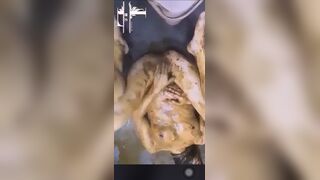 Toilet girl covered with shit, ScatKings.com Scat Porn 16 ScatKings.com Scat Porn