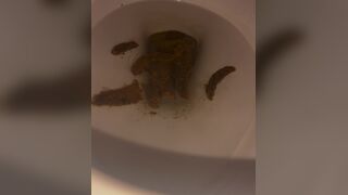 a girl filled the toilet, ScatKings.com Scat Porn 10 ScatKings.com Scat Porn