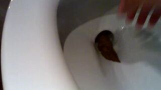 a toilet turd, ScatKings.com Scat Porn 5 ScatKings.com Scat Porn