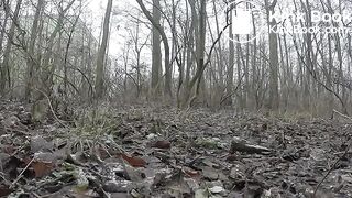 extérieur, ScatKings.com Scat Porn 9 ScatKings.com Scat Porn