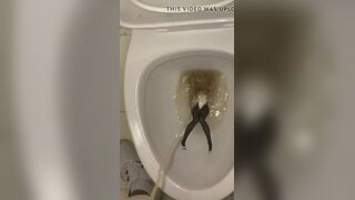 ScatKings.com Scat Porn