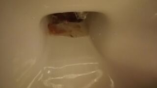 trip 4... oh my!, ScatKings.com Scat Porn 7 ScatKings.com Scat Porn