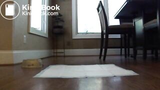 Alexa efro, ScatKings.com Scat Porn 5 ScatKings.com Scat Porn